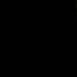 Meet your Posher, Oscar